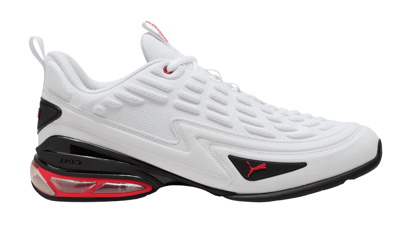 Puma Meza